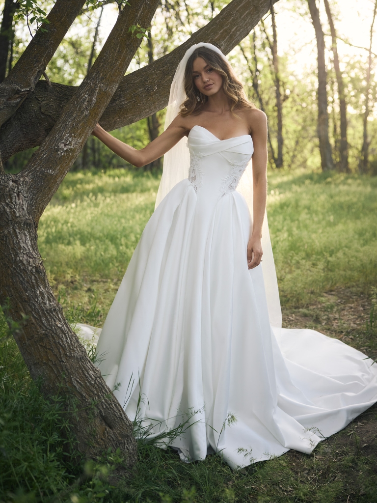 Rebecca-Ingram-Gigi-Ballgown-Wedding-Dress-F6RB120A01-PROMO5-IV002 x 2