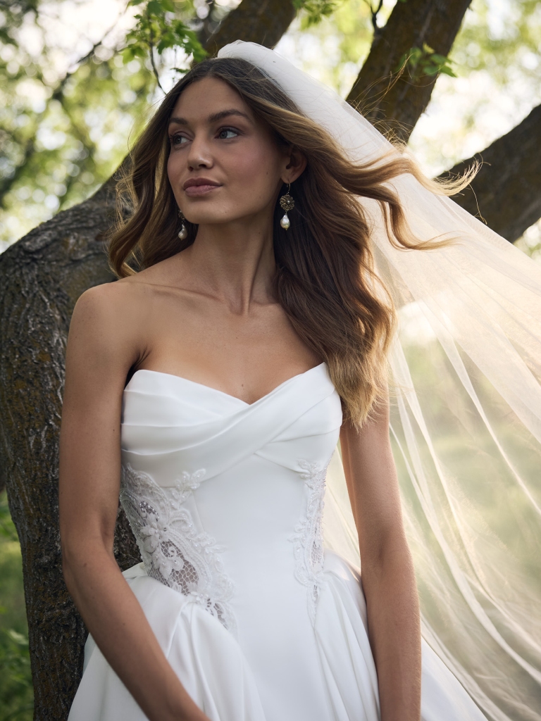 Rebecca-Ingram-Gigi-Ballgown-Wedding-Dress-F6RB120A01-PROMO9-IV002 x 4